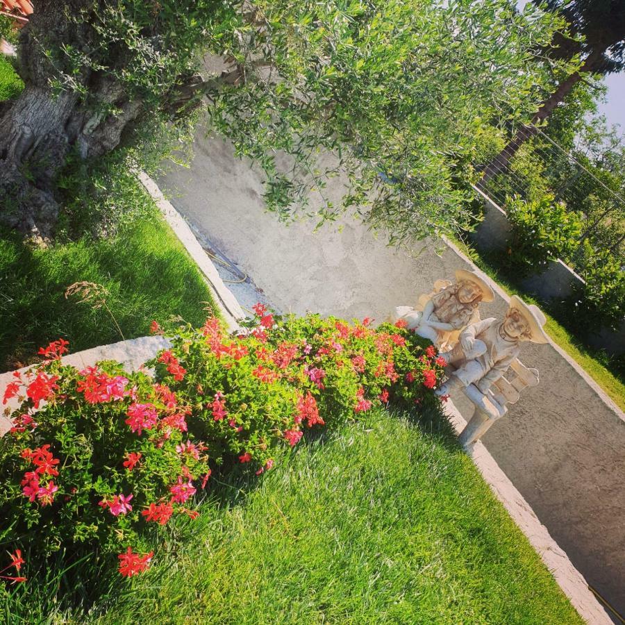 Alba Magica Bed & Breakfast Agerola Exterior photo